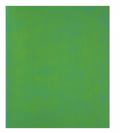 Тетрадь 48л Green chameleon Alingar