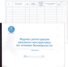 Журнал инструктажа на рабочем месте А4 48л горизон