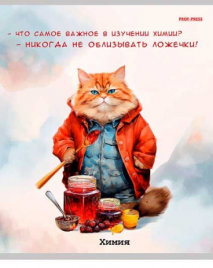 Тетрадь 48л П Жил был кот Химия ТМ Prof-Press