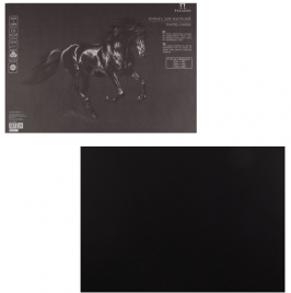 Бумага для пастели 350*500 1л 160г/м2 Палаццо Dark night с тиснением Холст Лилия Холдинг 