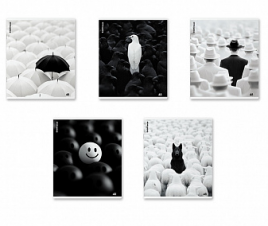 Тетрадь 48л Black Focus Mix-pack Erich Krause