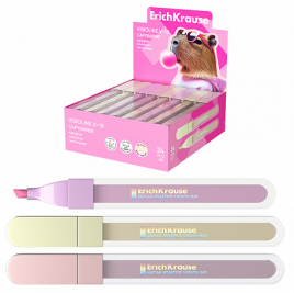 Текстовыделитель Erich Krause Visioline V-18 CapyBarbara ассорти