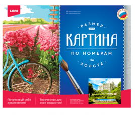 Картина по номерам Lori 40*50см Замок Данробин