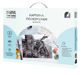 Картина по номерам Три совы 30*40см Байк на холсте с акриловыми красками и кистями
