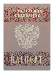 Обложка для паспорта ДПС ПВХ прозрачная с матовым рисунком 2203.180М 