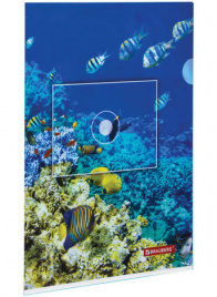 Папка-уголок BRAUBERG SEA WORLD, А4, 150 мкм, цветная печать, 228042