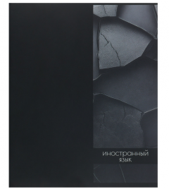 Тетрадь 48л П Иностранный язык КОКОС Two black 262171