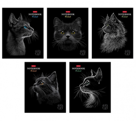 Тетрадь 48л Black Cat Хатбер