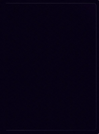 Папка 20 файлов Silwerhof 0,5мм SE-V20BLK черный