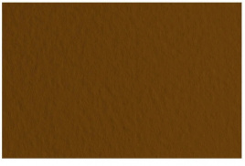 Бумага для пастели А2 1л Fabriano Tiziano 160г/м2 500*650г/м2 кофейный 52551009
