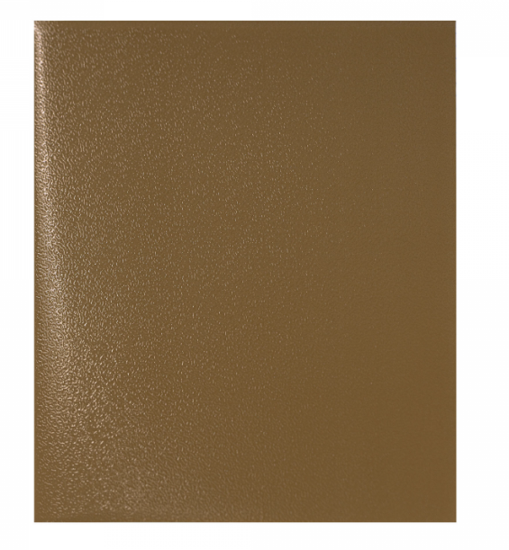 Тетрадь 48л Brown Skin metallic Alingar фото 1