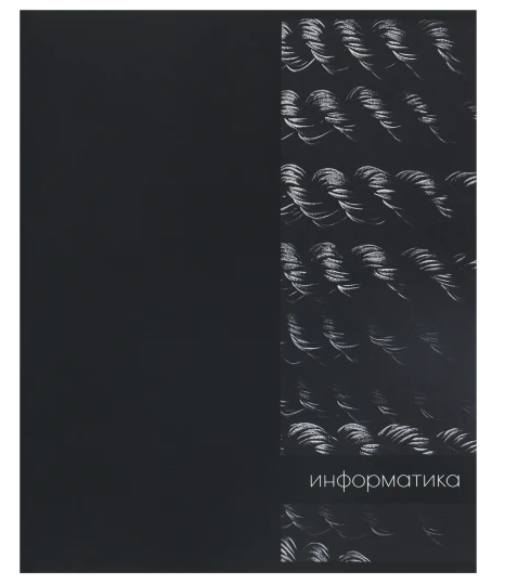Тетрадь 48л П Информатика КОКОС Two black 262174 фото 1