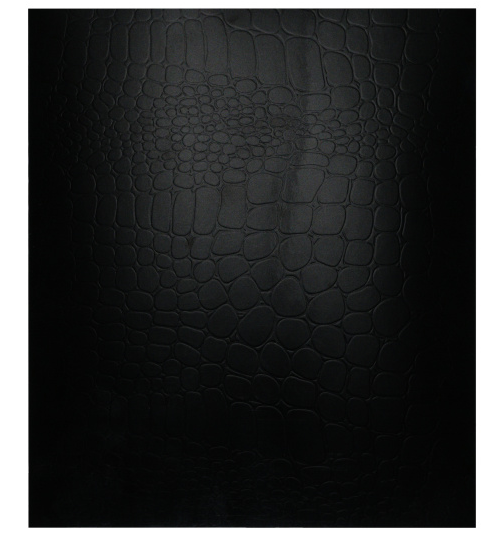 Тетрадь 48л Black Croco metallic Alingar фото 1