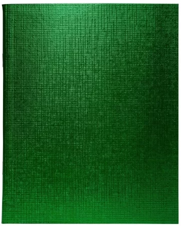 Тетрадь 48л бумвинил Metallic Зеленый Хатбер фото 1