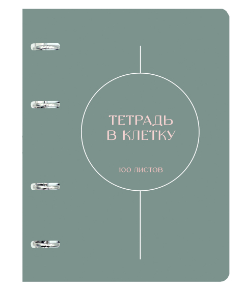 Тетрадь 100л на кольцах Shades Эксмо фото 1