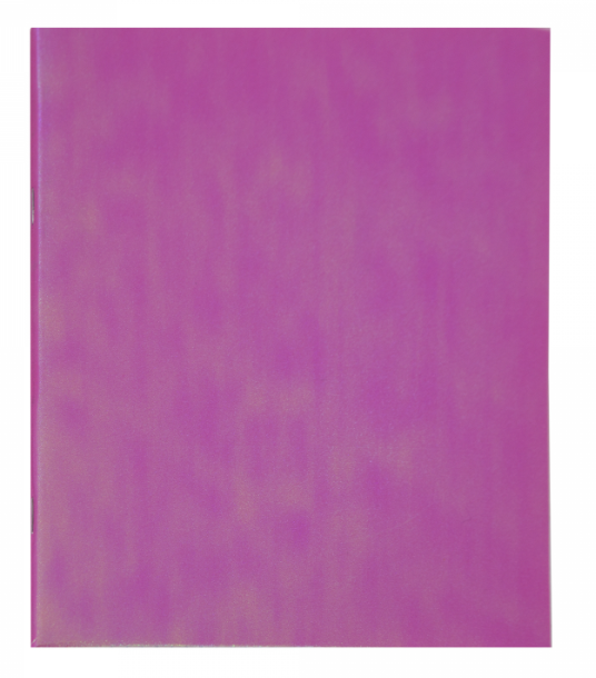 Тетрадь 48л Pink chameleon Alingar фото 1