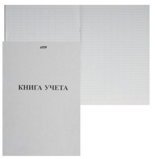 Книга учета 48л А4 пустографка газетка вертик фото 1